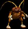 Let Spectrum Pest Management squash your roach problem!